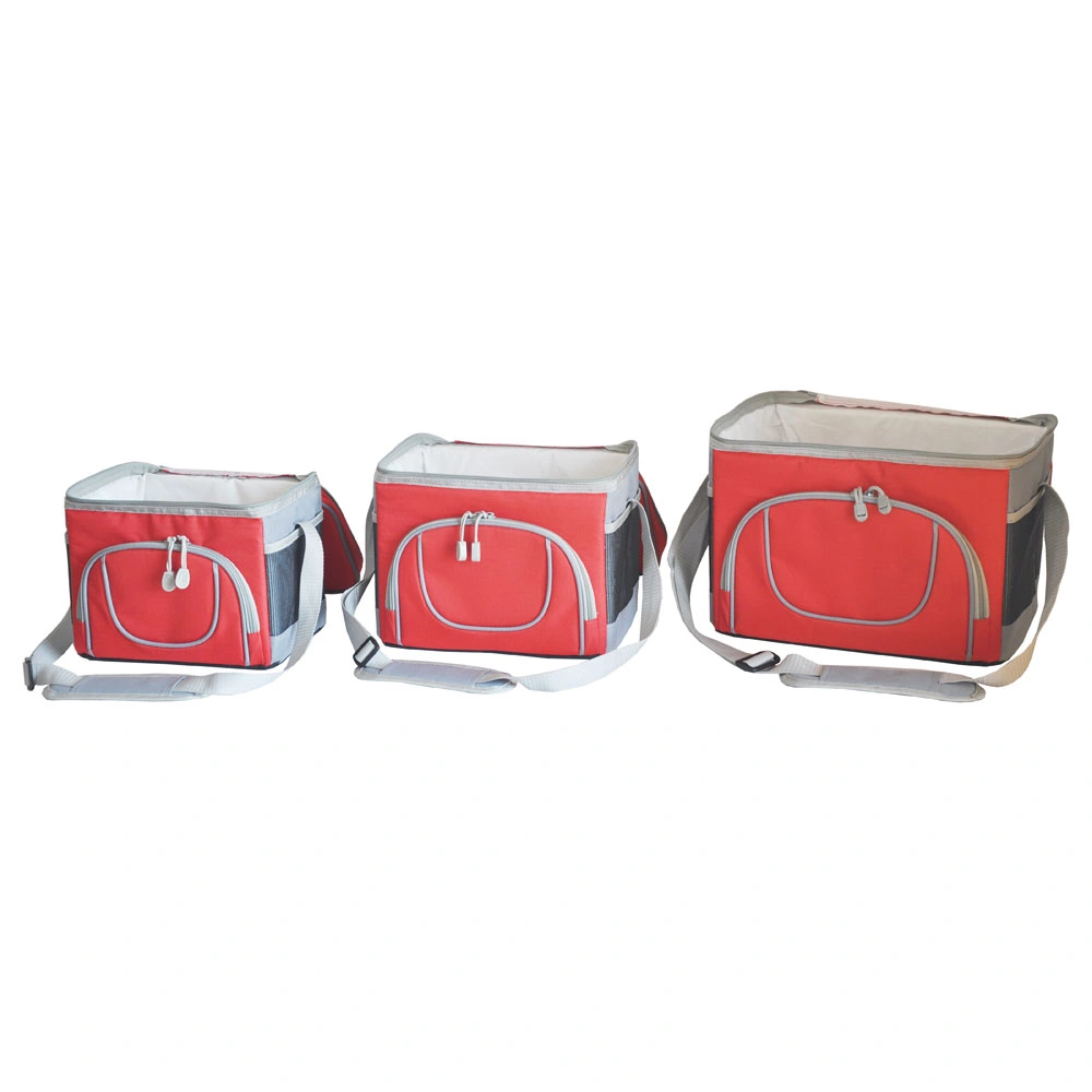 Insulated Cooler Bag with Inside Plastic Cooler Box for Promotion