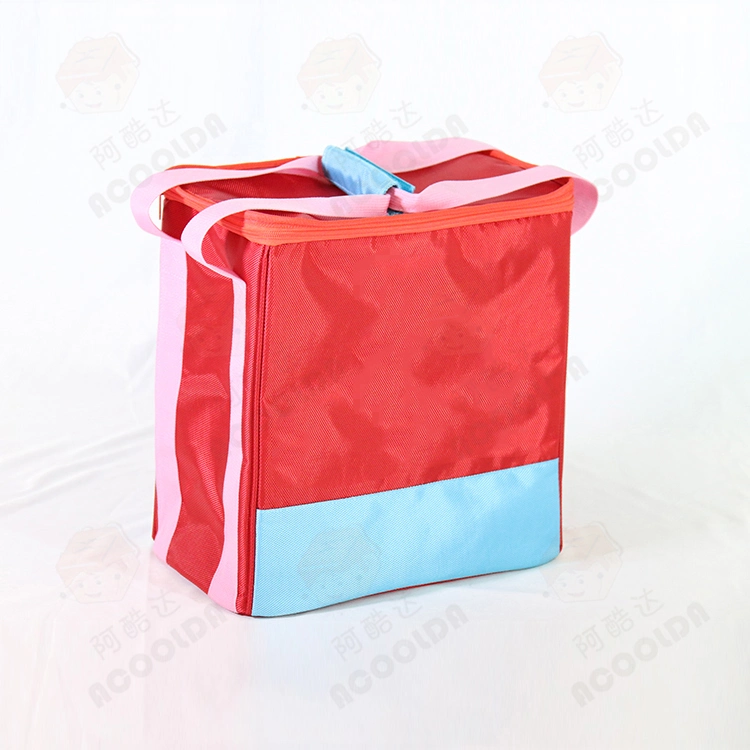 Small Thermal Bag Carry Bag for Picnic Lunch Cooler Box