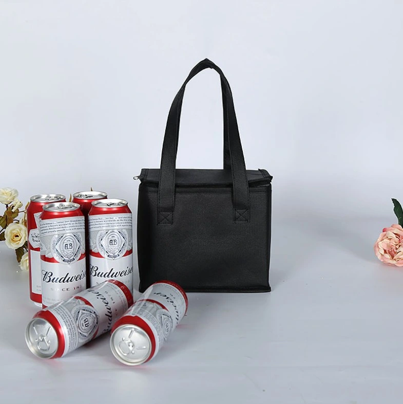 Stock Available Cheap Price 6 Cans Beer Bottles Non Woven Thermal Cooler Bag, Cooling Bag