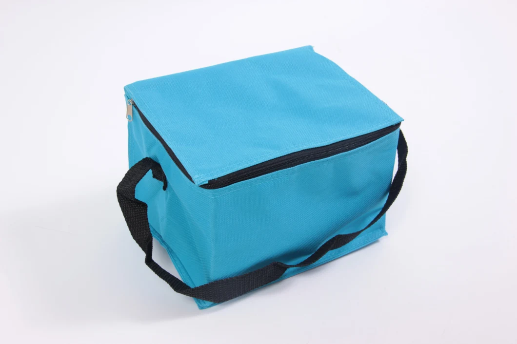 Insulated Cooler Bag Lunch Bag Breastmilk Storage Bag Long Lasting Ice Packs