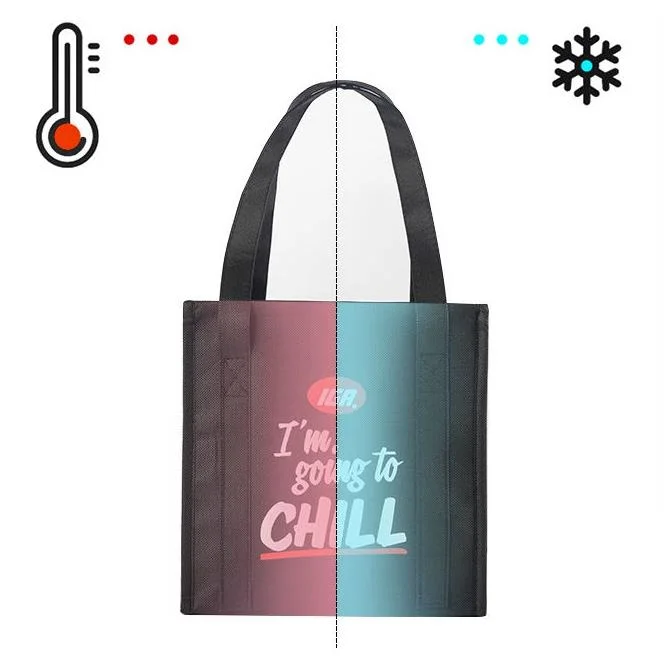 Outdoor Picnic Reusable Hot and Cooler Food Thermal Insulated Foldaway Delivery Tote Bags