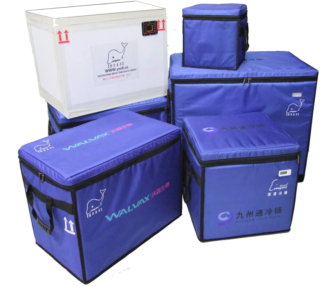 Delivery Ice Cold Box Cold Chain Delivery Packing Boxes