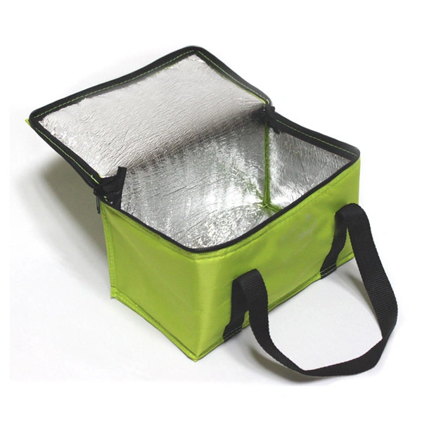 Customized Quality Non Woven Children Insulated Lunch Food Cooler Bag