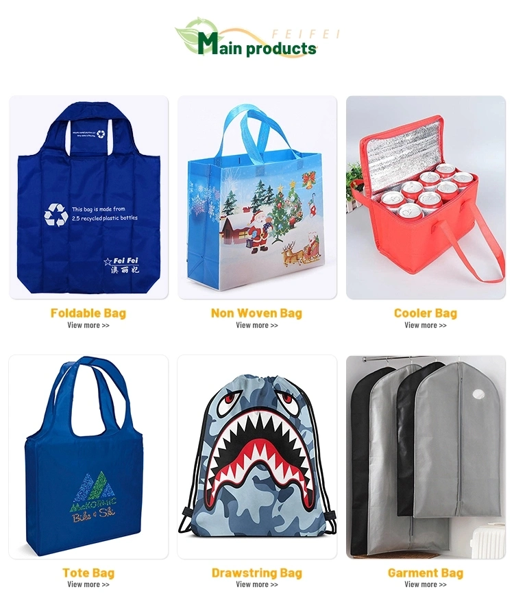 Accept Customized Logo and Packing Non Woven Insulated Lunch Thermal Cooler Bag