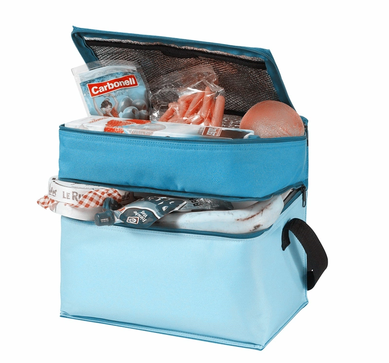 China Supplier 600d Oxford Custom Brand Logo Double Compartment Cooler Bags with Zipper Closure