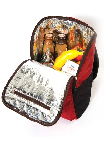 High Quality Insulated Thermal Lunch Picnic Cooler Backpack (MS3128)