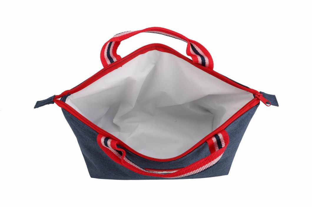 Carry Handle Lunch Cooler Bag