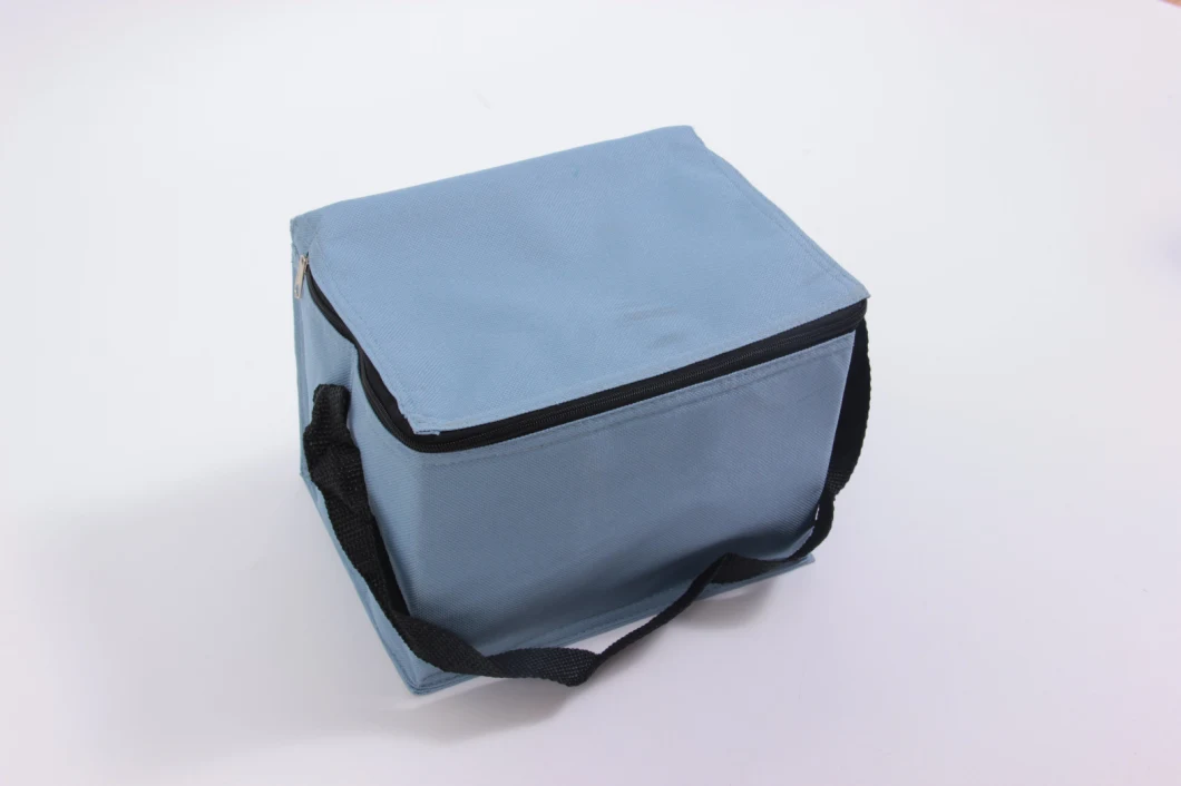 Insulated Cooler Bag Lunch Bag Breastmilk Storage Bag Long Lasting Ice Packs