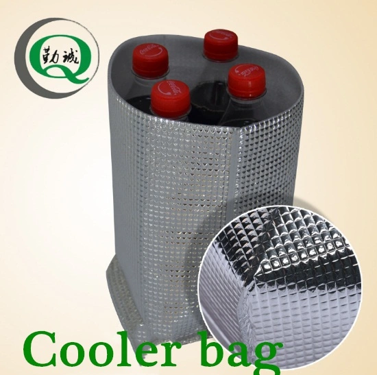 Thermal Insulation Foil Foam Ice Cream Carry Cooler Bag Lunch Bag Cooler Ecofriendly Food Usuage Cooler Bag