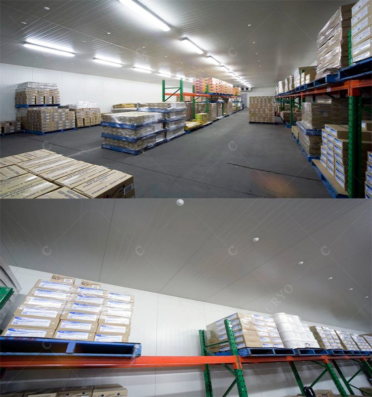 Frozen Hilsa Fish Japan Seafood Cold Storage Delivery Singapore Laboratory Cold Room Cold Room Design