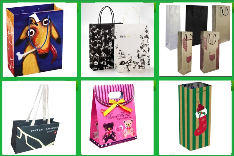 Luxury Paper Carrier Bag Party Bag Shopping Bag