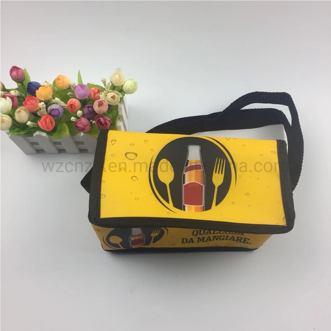 New China Products Eco Picnic Cake Carrier Thermal Lunch Cooler Bag