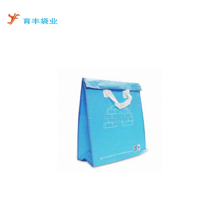 Ice Cream Food Delivery Bag, Extra Large for Hot and Cold Grocery Shopping