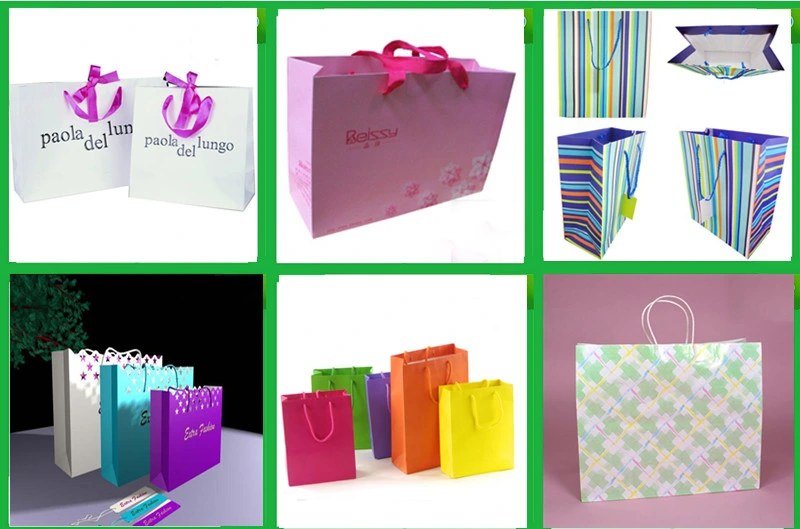 Luxury Paper Carrier Bag Party Bag Shopping Bag