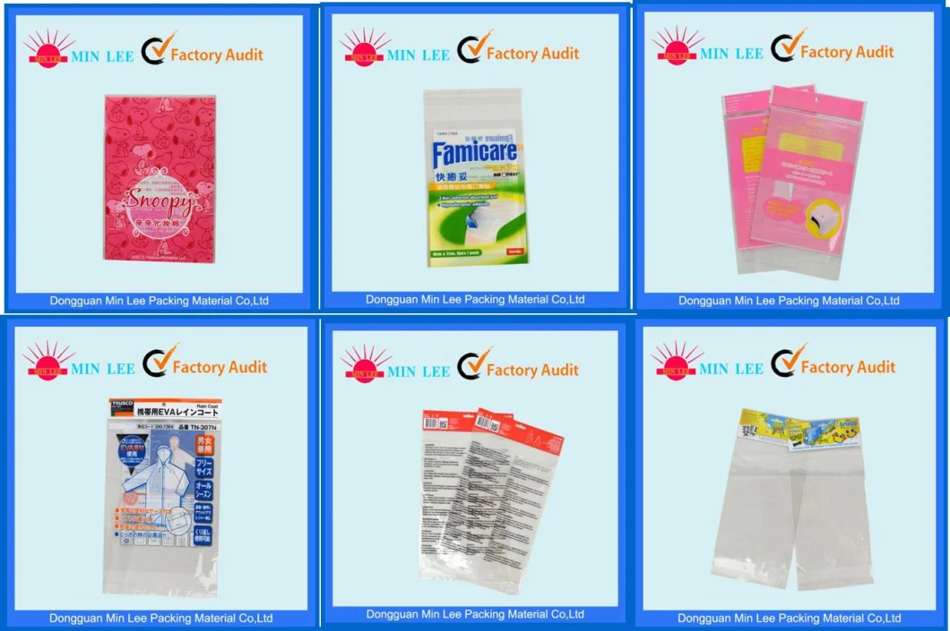 Plastic/LDPE/Poly Bag/ Reclosable Bag for Food/Wholesale OPP Plastic Bag for Frozen Food