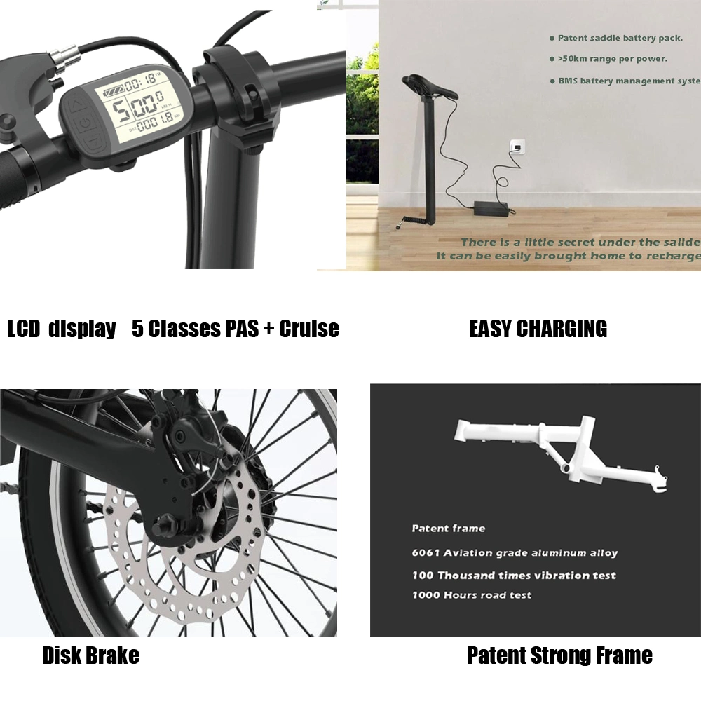 Easy Rider Bicycle Electric Bike Folding Electric Bicycle Cheap Electric Bike From China