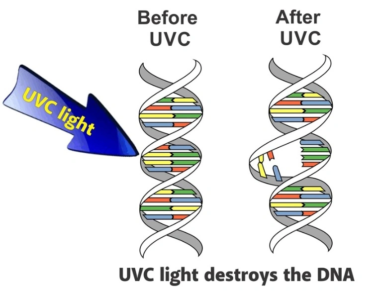 Magnetic Portable UV Sterilization Lamp in Duct Kill Virus Widely Used in Hotel/Hospital/School/Office