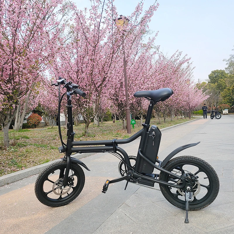 Mini Electric Bike Electric Bike Mini Electric Bike 7 Speed Derailleur Folding Electric Bike