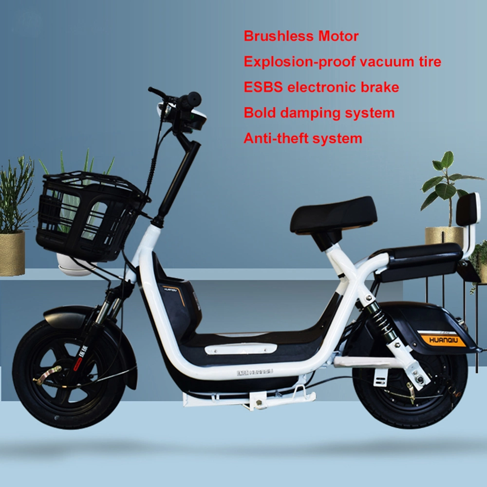 Al-Bly Electric Women Bike High Speed Electric Folding Bike The Cheapest Electric Bike