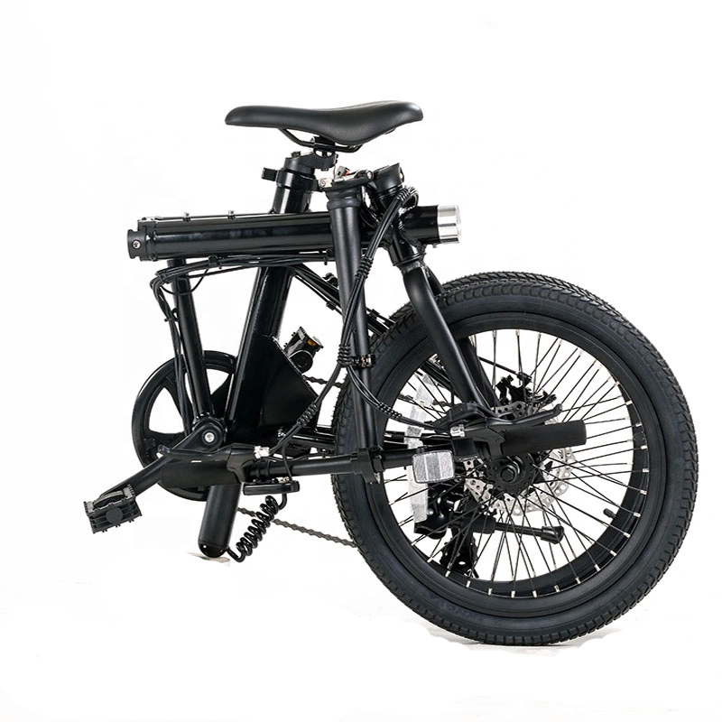 Easy Rider Bicycle Electric Bike Folding Electric Bicycle Cheap Electric Bike From China