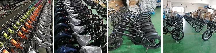 Mini Electric Bike Electric Bike Mini Electric Bike 7 Speed Derailleur Folding Electric Bike