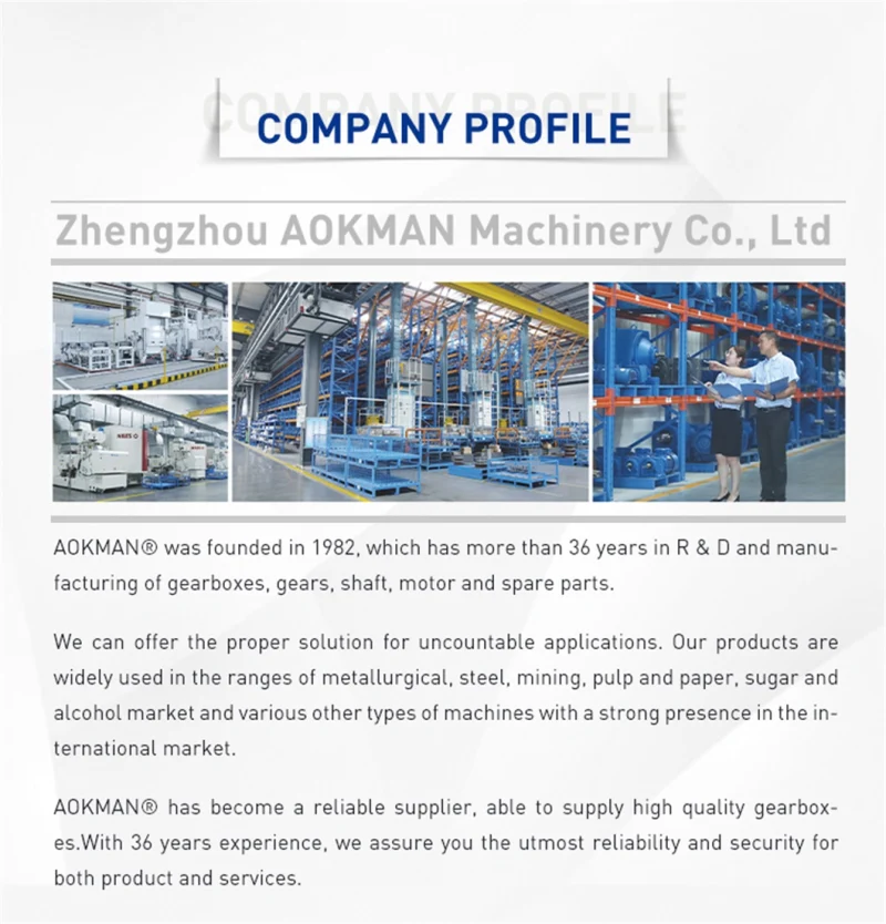 Hot Sell Electric Vibratory Mechanical Vibrator Motor