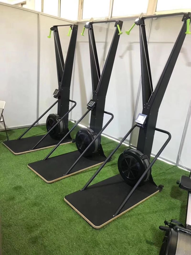 Commercial Gym Fitness Skiing Machine Skierg Machine
