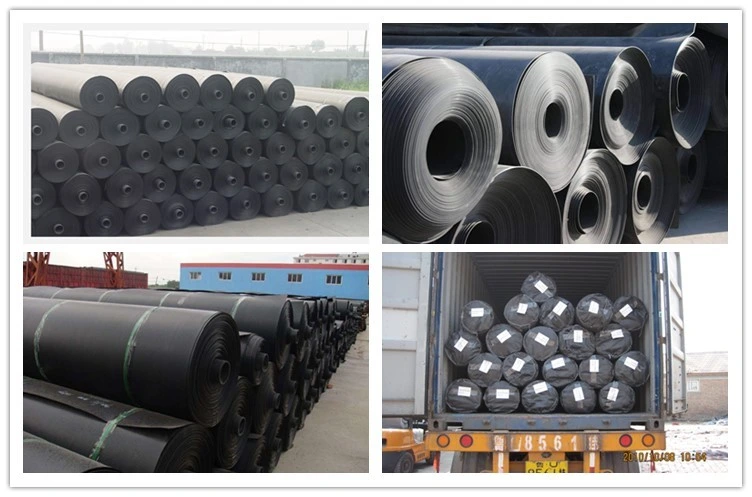 Factory Whosale Geomembrane for Oilfield Pit Liners /Pet Liners