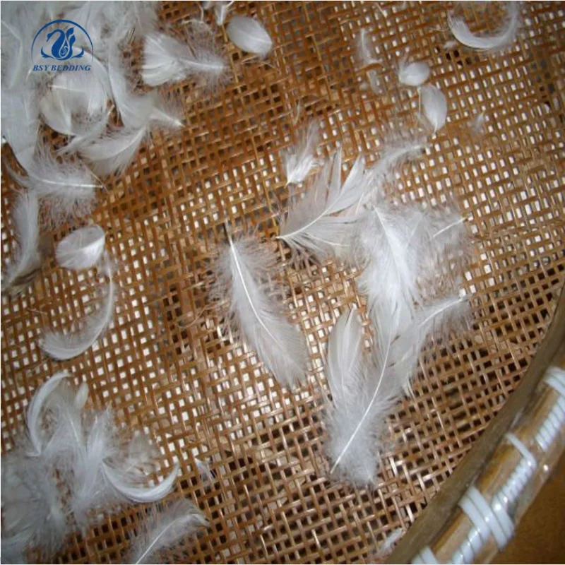 Factory Price Soft Warm White Duck Feather Duck Down for Home Textiles