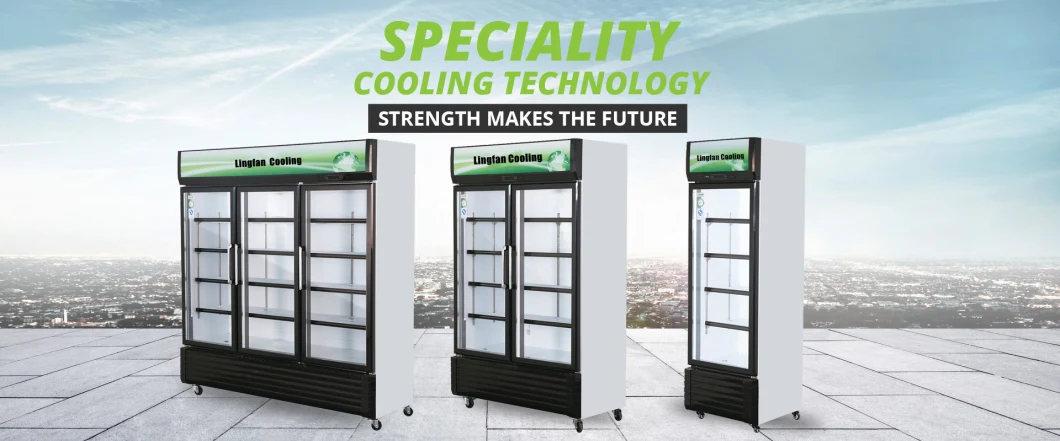 Swing Double Door Commercial Supermarket Refrigeration Equipment Beverage Showcase Fridge with Fan Cooling