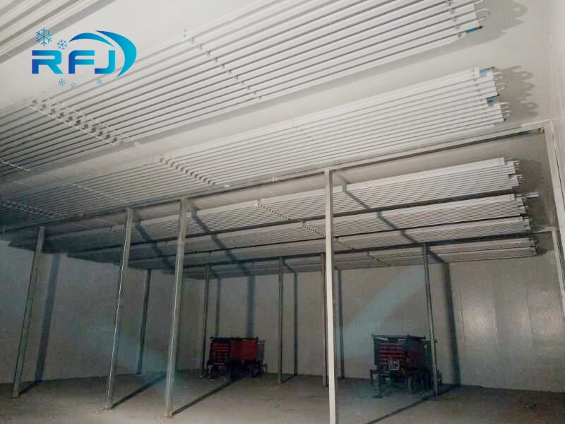 Walk in Freezer Room Industrial, Industrial Fridge Freezer System, Industrial Refrigeration Chamber Room