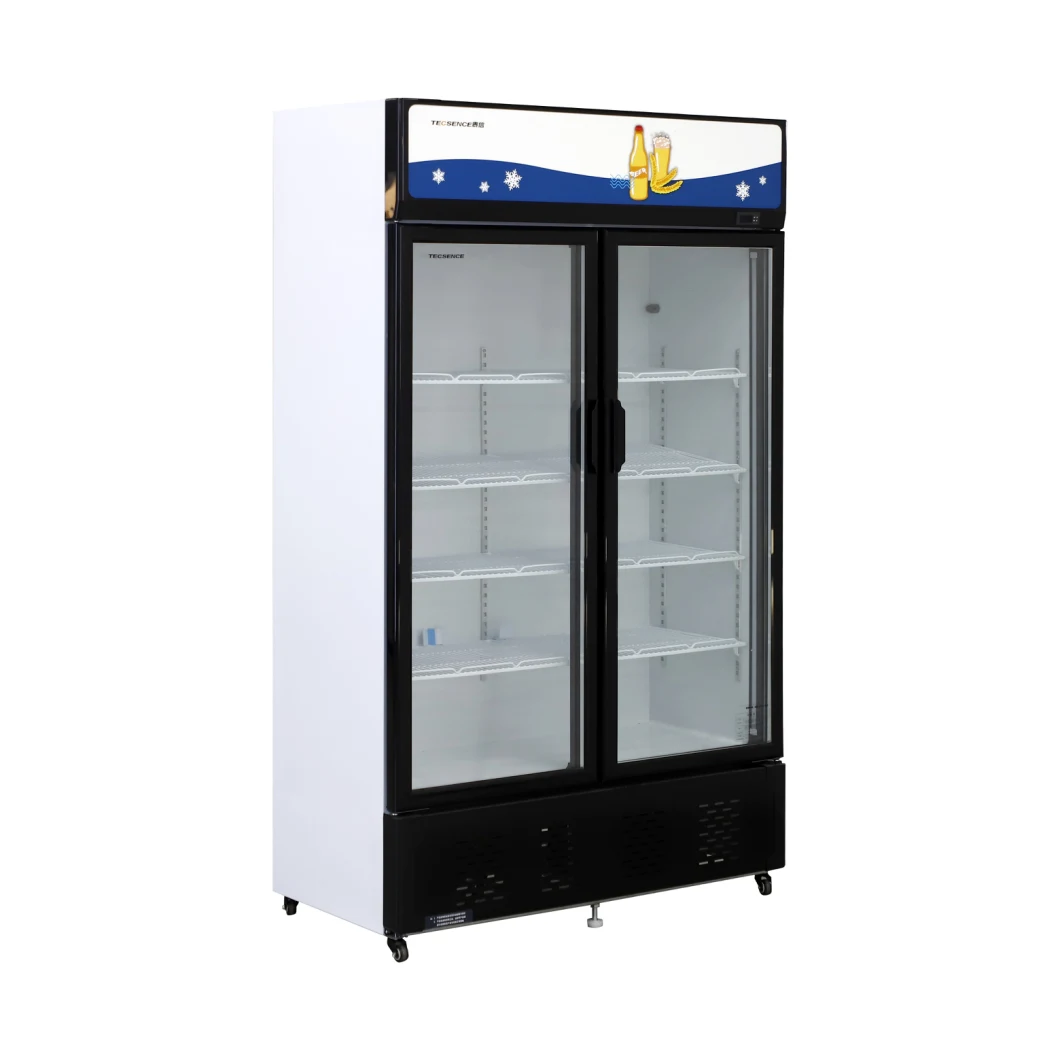 Big Capacity 663L Double Door Display Cooler Drink Beverage Display Showcase