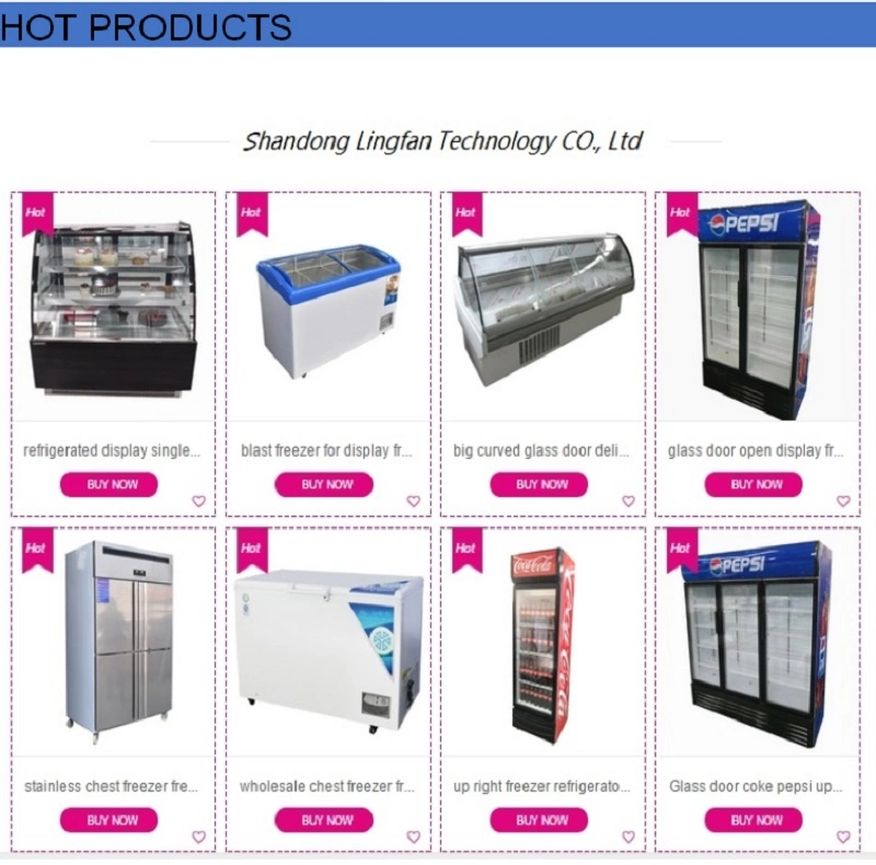 Hot Sale Refrigerator Chiller Pepsi Commercial Equipment Showcase Cooler Food Display Freezer