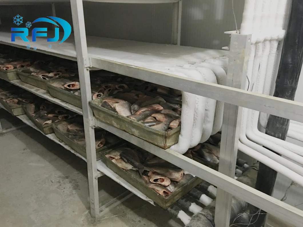 Walk in Freezer Room Industrial, Industrial Fridge Freezer System, Industrial Refrigeration Chamber Room