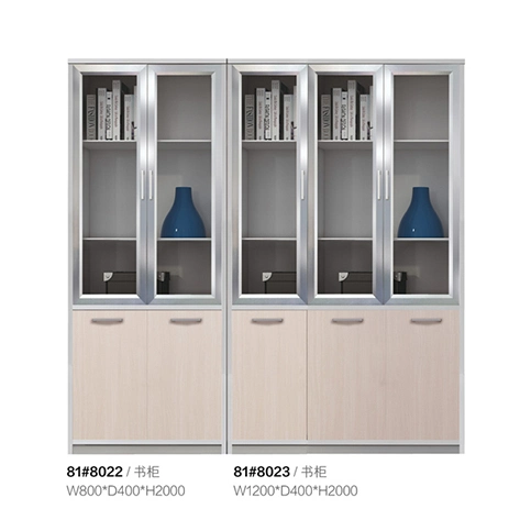 Elegant Modern Office Furniture Filing Cabinet Display Shelf