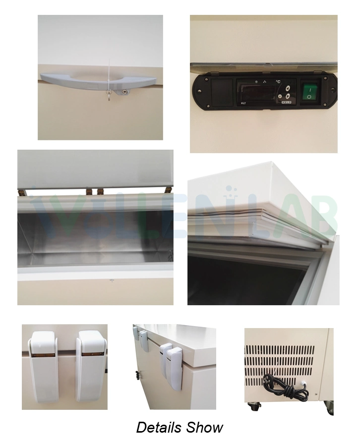 60L Low Temperature Small Laboratory Drug Chest Deep Freezer Price