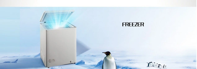 DC 12V 24V Solar Freezers Chest Freezer with Solar Panel