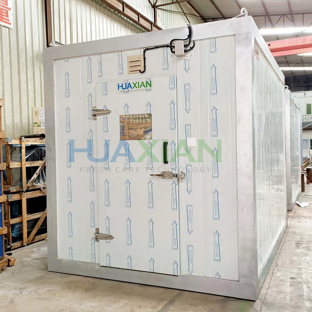 Germany Compressor Deep Freezer/Walk in Freezer/Blast Freezer for Meat/Fish/Poultry/Shrimp