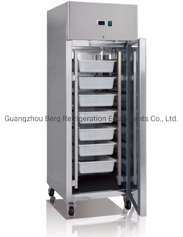 Restaurant Kitchen Upright Stainless Steel Deep Freezer Fridge