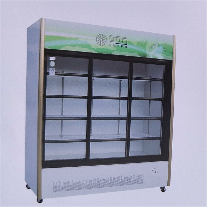 Frozen Food Freezer Refrigerator Glass Door Commercial Display Fridge