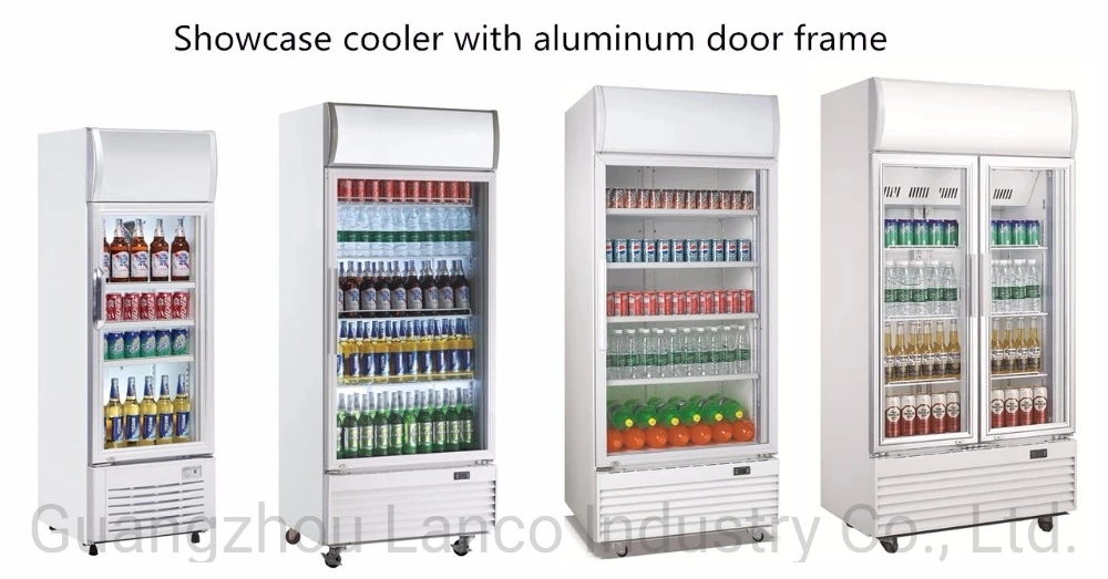 Glass Door Multi Usage Vertical Display Freezer for Supermarket Grocery