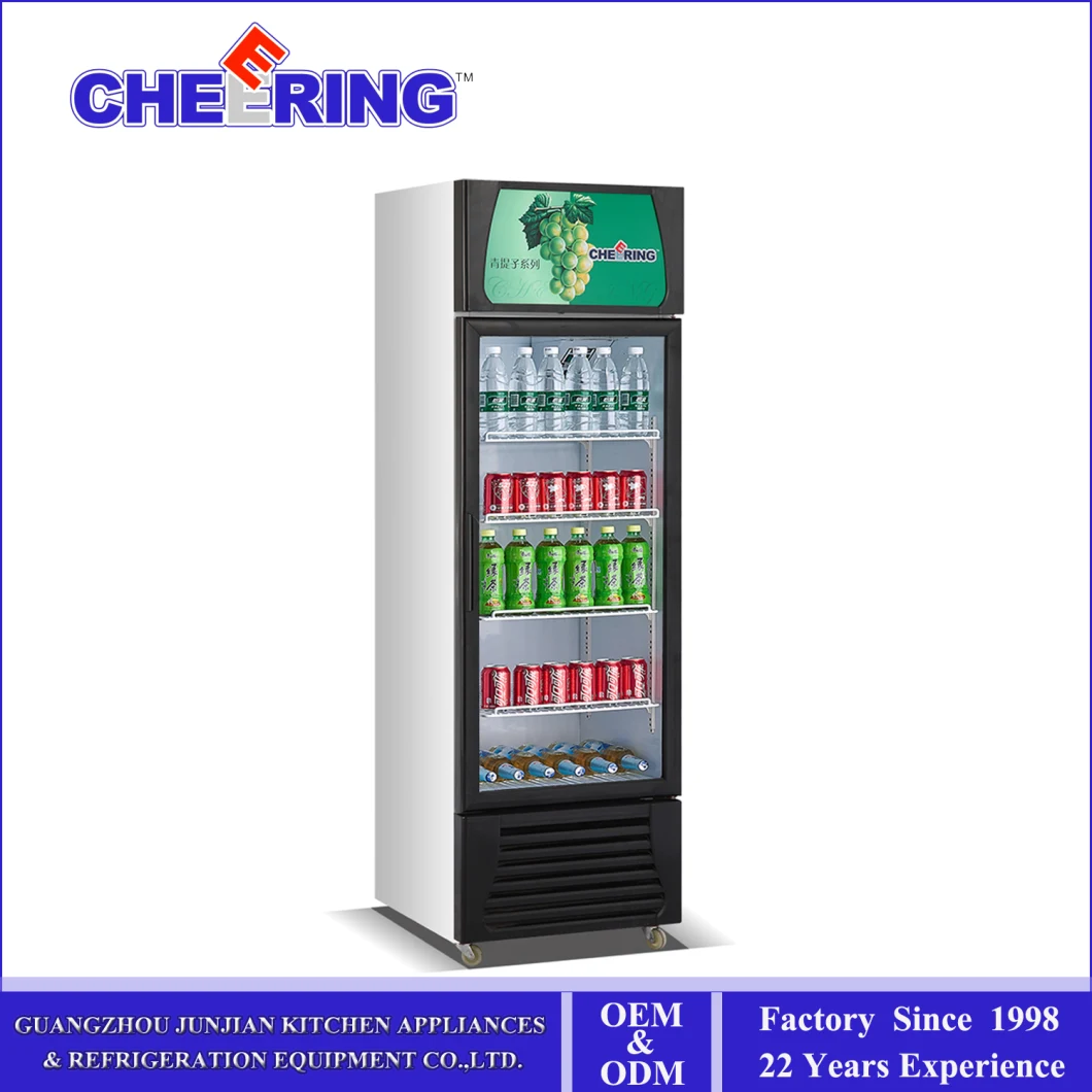 Commercial Beverage Storage Glass Door Display Freezer for Supermarket