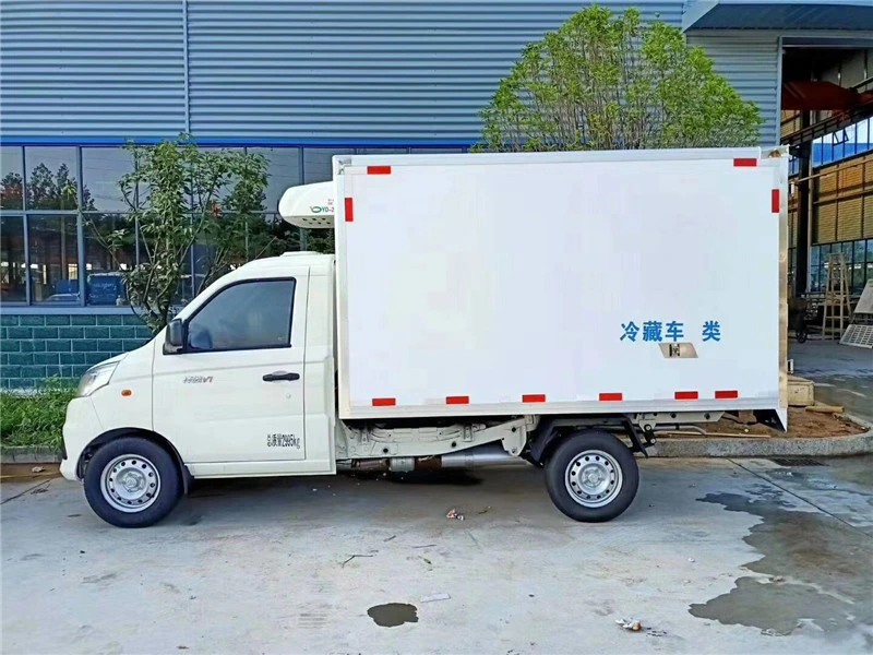 1 Ton 1.5 Tons Small Mini Refrigerator Car Freezer