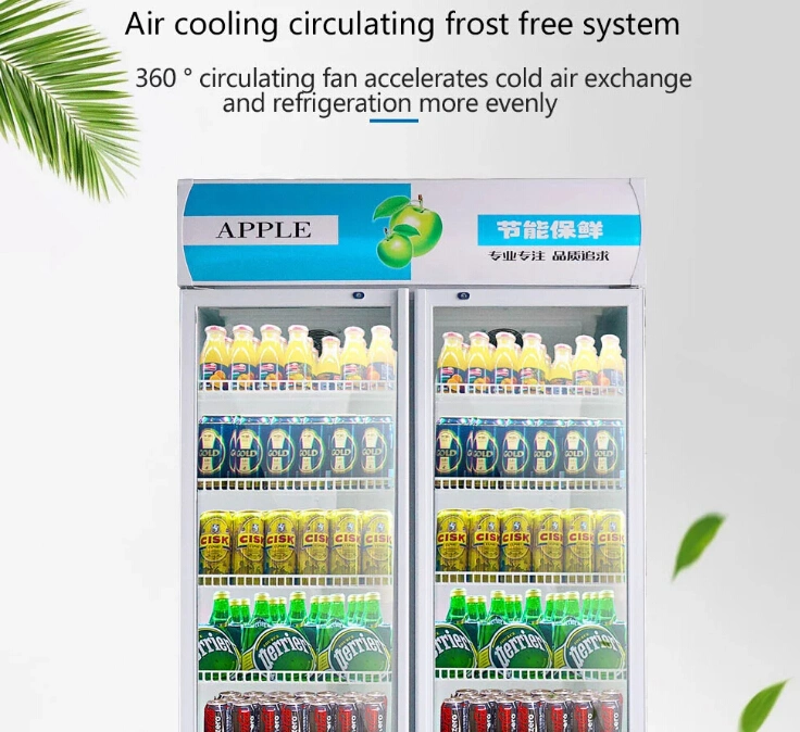 Automatic Defrost Commercial Back Bar Beer Display Fridge/Coolers/Freezers/Refrigerators/Chiller