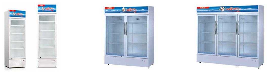 Vertical Showcase Glass Door Refrigerator Display Freezer Cold Drink Fridge