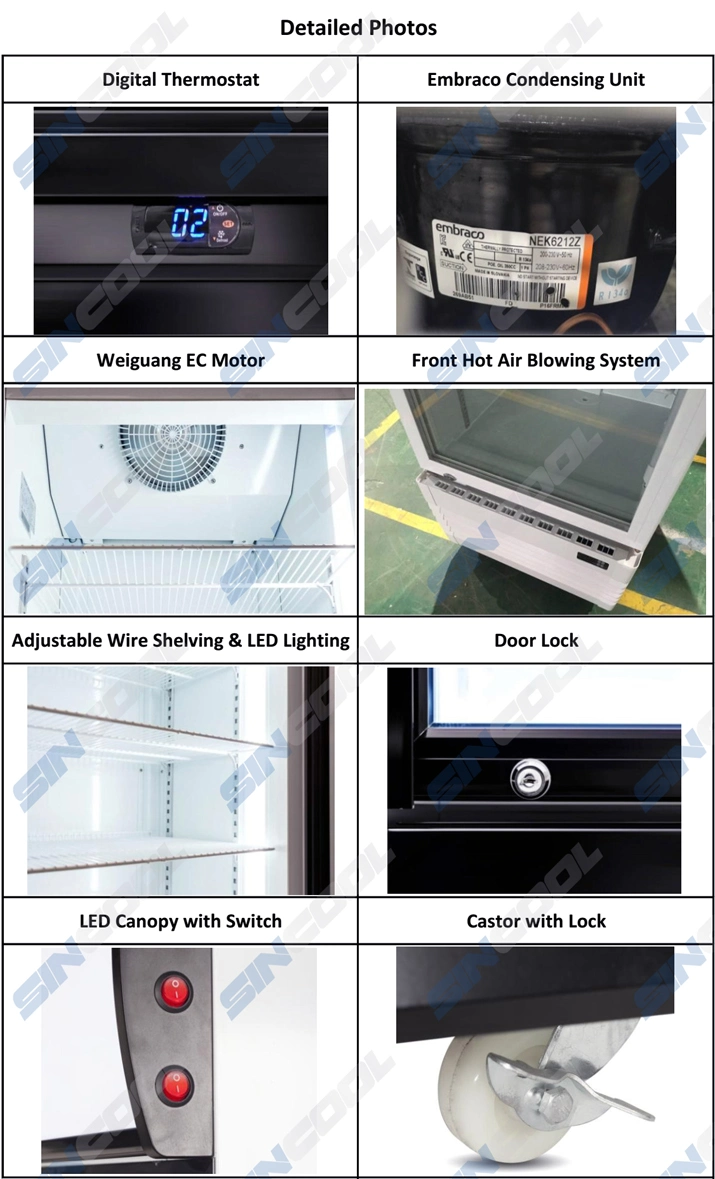 Vertical Fan Cooling Double Glass Door Fridge for Soft Drinks