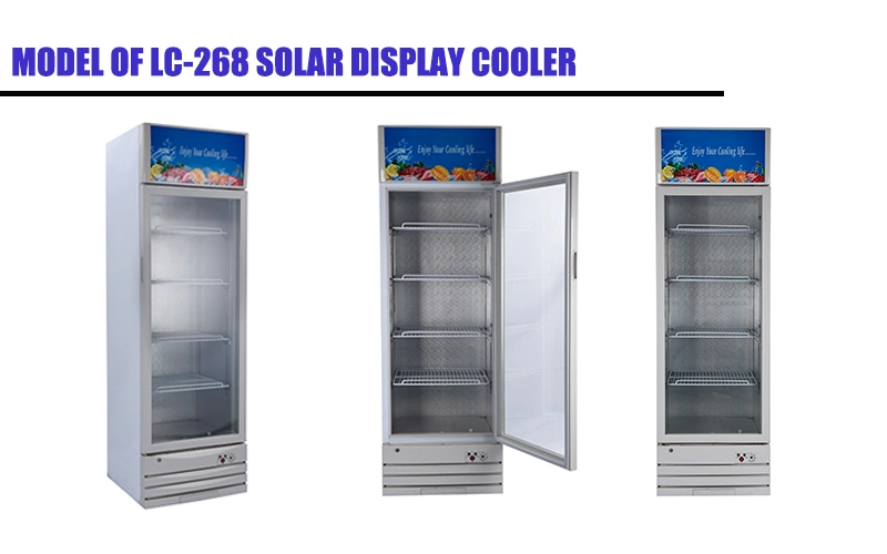 12V/24V DC 9.5 Cu. FT Cooler 268L Shopwindow Drinks Food Solar Display Cabinet