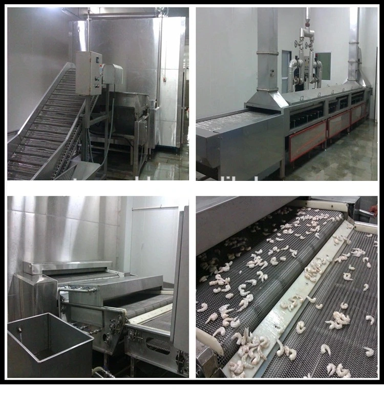 CE Approved Industrial Blast Freezers / IQF Freezing Machine / Tunnel / Freeze Ice Cream Machine