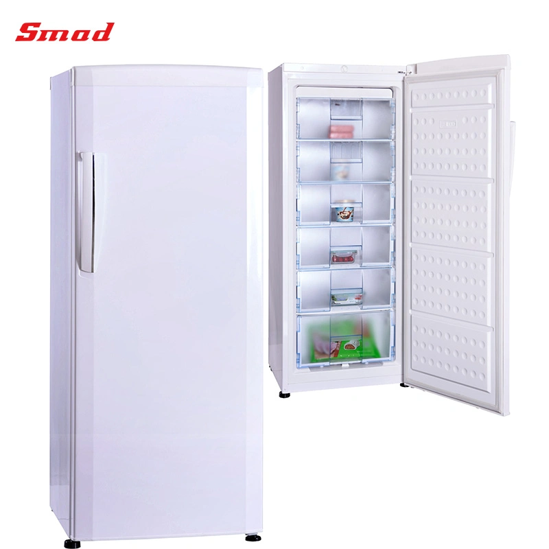 Single Door Low Temperature Solid Door Upright Deep Freezer