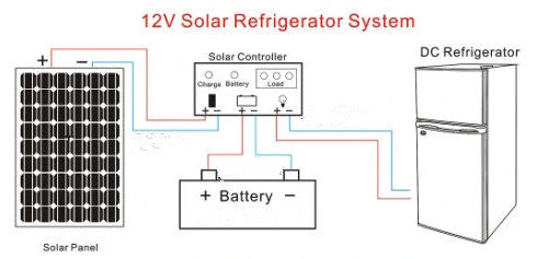 Bottom Fridge 10.4 Cu. FT 12V/24V DC Compressor Cosmetic 295L Solar Fridge